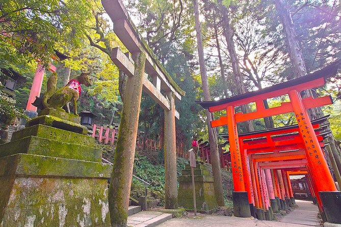 Private Exclusive Kyoto Slow Cycling Tour With Brompton - Good To Know