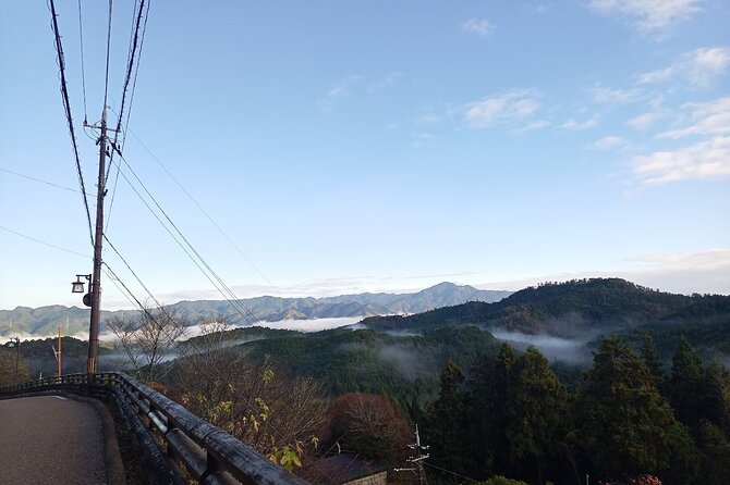 Private Guided Half-Day Walking Tour in Yoshinoyama - Good To Know