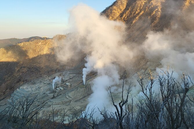 Private Hakone Tour From Tokyo - Good To Know