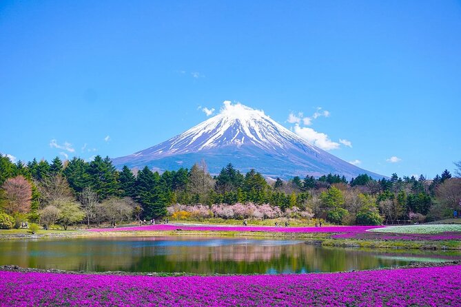 Private Mount Fuji Tours With Car Pickup From Tokyo - Good To Know