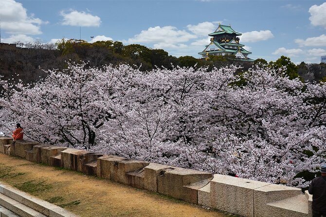 Private Osaka Tour From Kyoto With Guide by Public Transportation - Good To Know