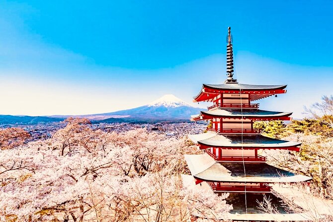 Private Sightseeing to Mt Fuji and Hakone With English Driver - Good To Know