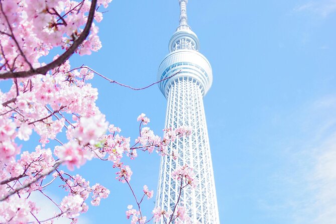 Private Tour in Tokyo With English Speaking Driver - Good To Know