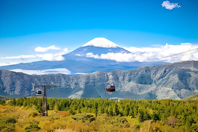Private Tour to Mount Fuji & Hakone With English Speaking Guide - Good To Know