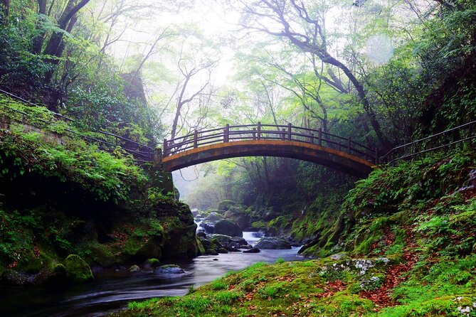 Shrine & Scenic Tour: Kamishikimi, Amano Iwato, Takachiho Gorge - Good To Know