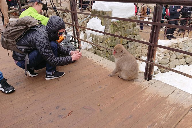 Snow Monkey, Shiga Kogen Roman Museum With Lunch Buffet - Good To Know