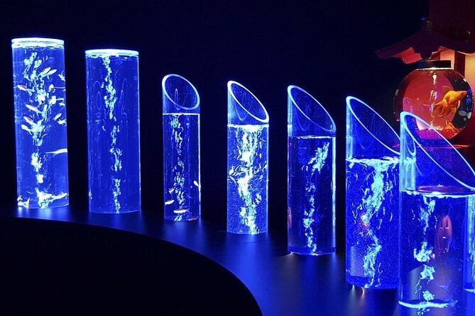 Tokyo Art Aquarium Museum E-Ticket With Optional Tokyo Metro Pass - Good To Know