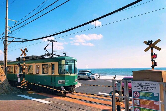 Tokyo: Bus Tour to Kamakura Great Buddha & Enoshima With Pickup - Good To Know