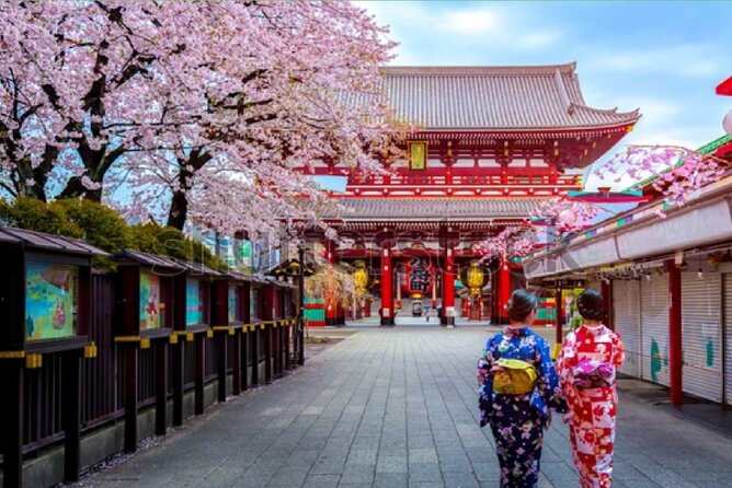 Tokyo City Tour by Private Car & English Guide - Good To Know