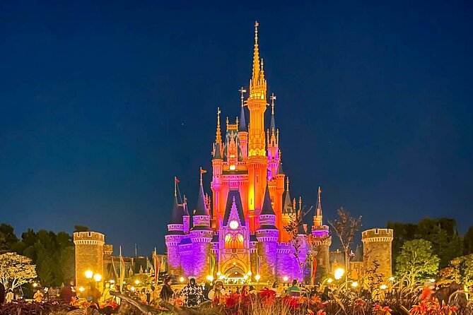 Tokyo Disney Resort Park E-Tickets With Optional Tokyo Metro Pass - Good To Know