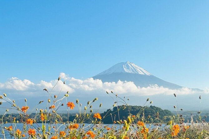 Tokyo: Mount Fuji One Day Private Tour by Car With English Guide - Good To Know