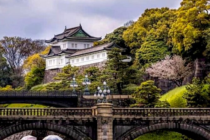 Tokyo Private Guided Tour With Hotel Pickup and Drop off - Tour Overview