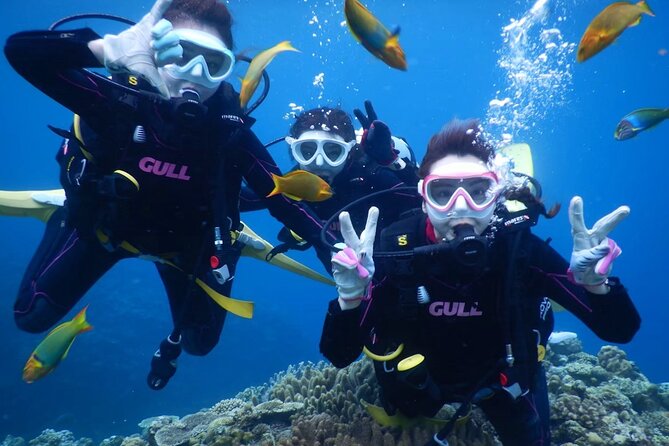 Trial Boat Dive 2 DIves at Nakijin, Motobu, Okinawa - Good To Know