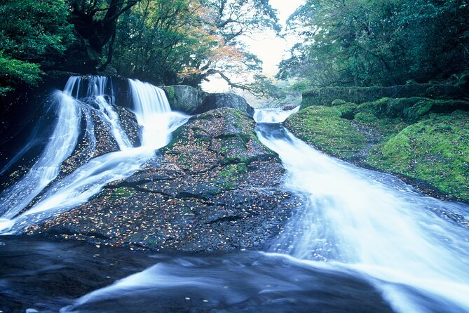 Walking With a Guide Through the Kikuchi Valley - Good To Know