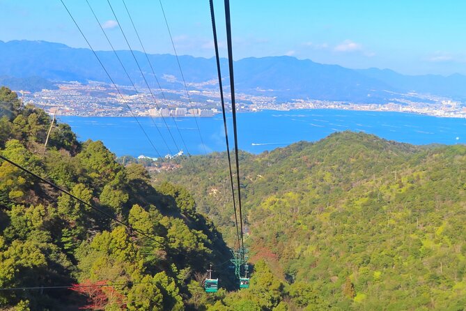 1-Day Miyajima Sightseeing Tour - Good To Know