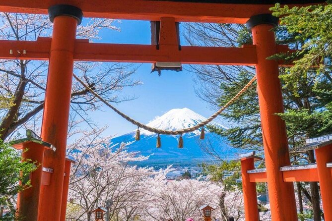 1 Day Private Tour Fuji FujiQ Kawaguchiko Pagoda - Good To Know