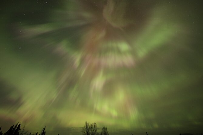 1 Day Shared Tour Arctic Circle and Aurora Viewing in Alaska - Good To Know
