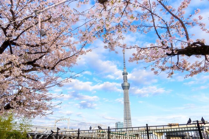 1 Day Tokyo Private Bus Tours + License Guide + Sweets Matcha Set - Good To Know