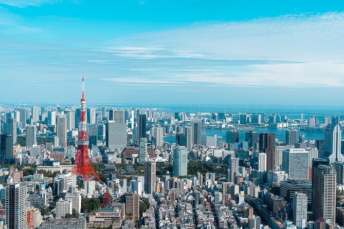 1 Day Tokyo Private Custom Tour - Good To Know