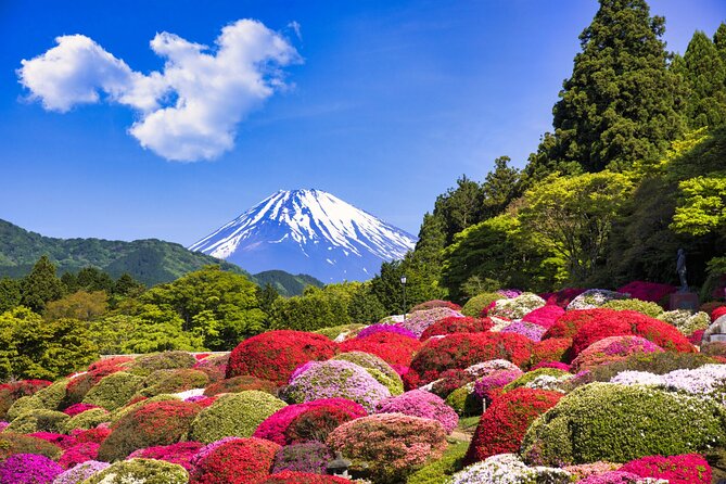 1 Day Private Tokyo to Hakone Gotemba Fuji Tour - Tour Overview