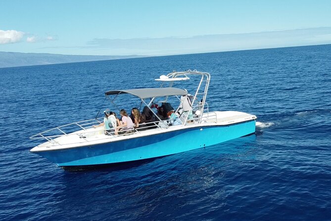 12 Passenger Kaanapali Beach Whale Watch Tour. Onboard Whale Mic