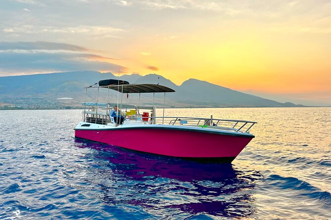2 Hour Lahaina Sunrise Whale Watch