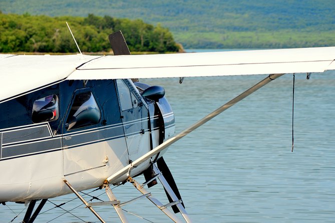 2 Park Bear Viewing Adventure to Katmai and Lake Clark NP - Overview of the Bear Viewing Adventure
