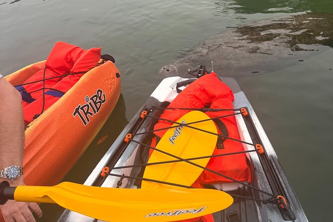 3 Hour Guided Single Kayak Adventure