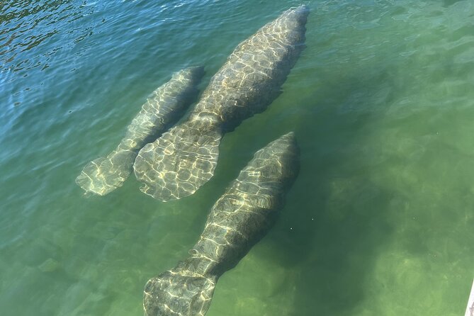 3 Hour Guided Tandem Kayak Adventure - Whats Included in the Tour