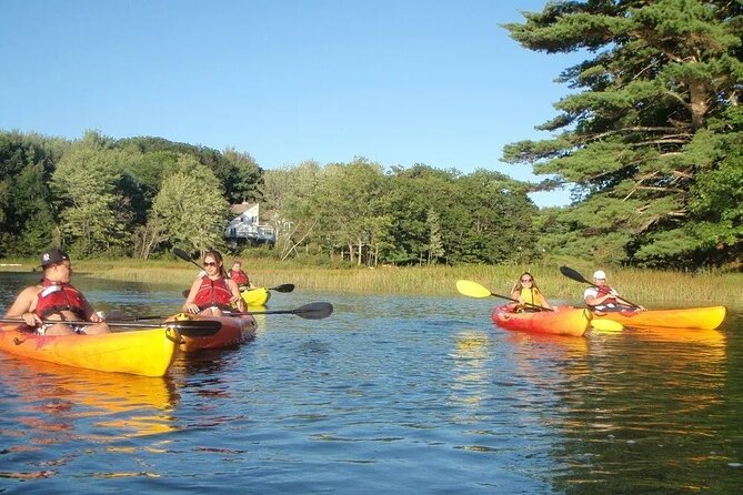 3 Hour Kayak/SUP Rental in Biddeford Pool