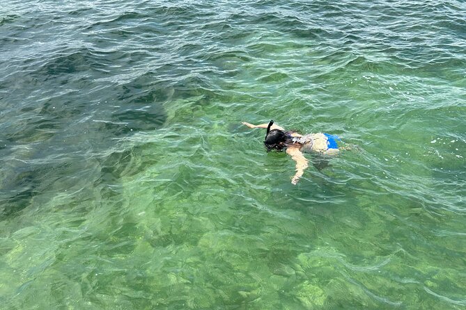 3 Hours Snorkeling Excursion in South Padre Island - Overview and Details