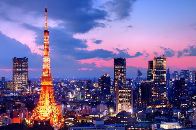 3 to 5 Hours Private Tour in Tokyo With Local Guide