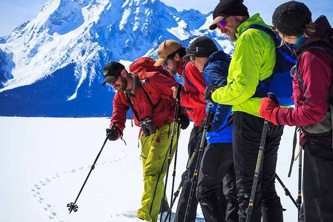 4 Hour Beginner Cross Country Skiing in Grand Teton
