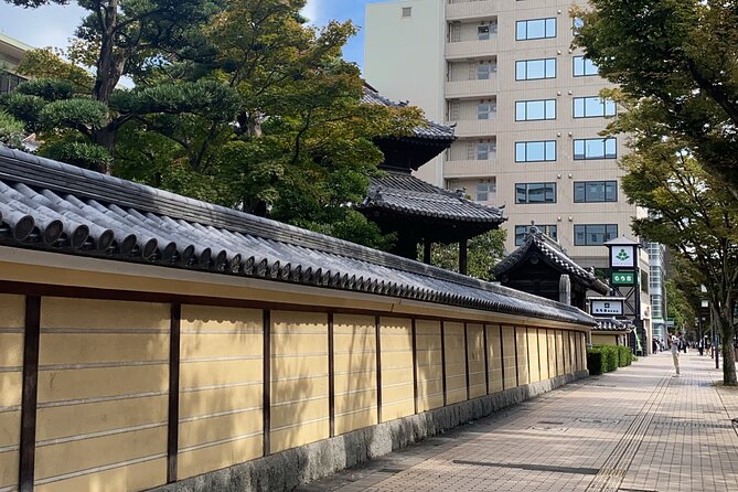 4 Hour Fukuoka City Tour With a Local Guide