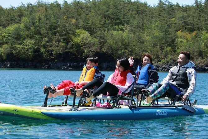 4 Seat Boat Experience on the Lake With a View of Mt. Fuji - The Picturesque Setting