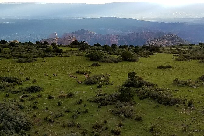 45 Mile EPIC Heli Tour Through Canyons Viewing Ancient Ruins+More