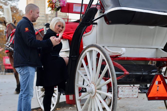 45 Minute VIP Central Park Carriage Ride