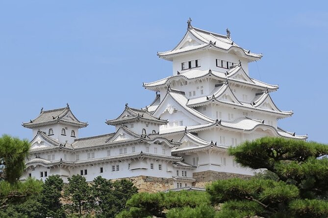 5 Day One Way Bus Trip to Fukuoka From Osaka via Sanin
