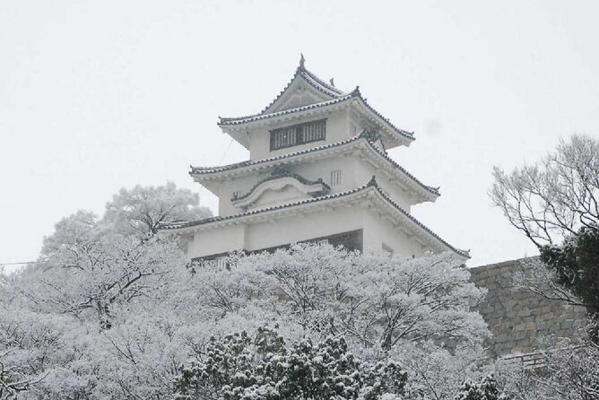 8 Day Private One Way Bus Tour to Fukuoka From Osaka