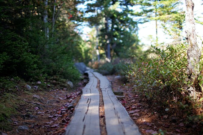 Acadia Full Day Private Tour and Hike