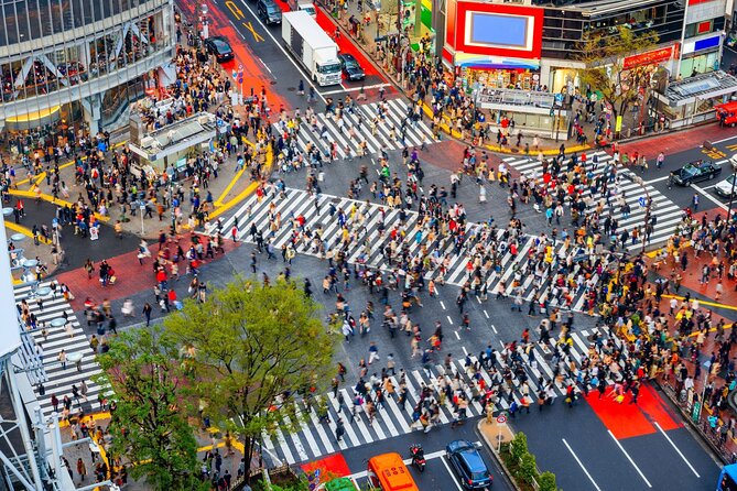 Afternoon Small Group Tour in Tokyo