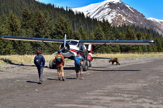 Alaska Bear Viewing Adventure From Seward - Transportation and Accessibility Options