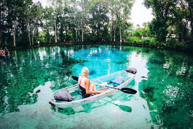 All Clear Kayak Springs & Manatees Tour Of Crystal River
