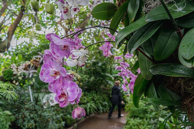 All-Garden Pass for the New York Botanical Garden - Visitor Information