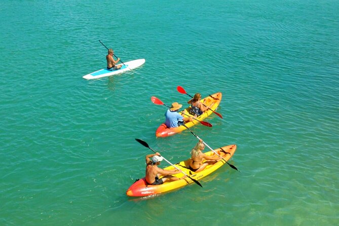 All Inclusive Kayak Eco-Tour: Mangrove and Sandbar Adventure