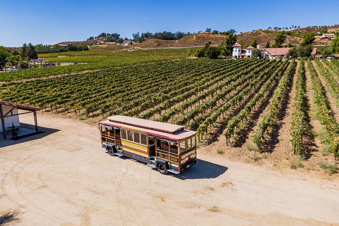 All-Inclusive Social Wine Tour - Overview and Experience