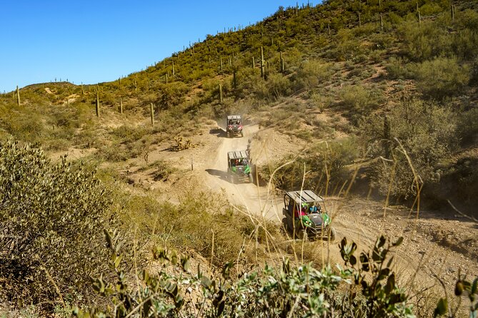 Ancient Ruins Tour – Guided Arizona Desert Tour by UTV