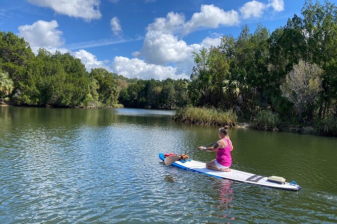 Backland Alligator Electric Paddle Tour