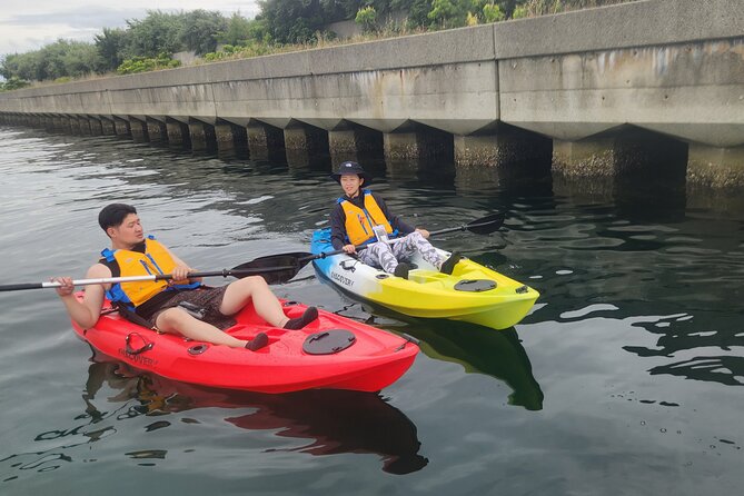 Beginner Friendly Stand Up Paddle Boarding Tour in Awaji Island - Tour Overview