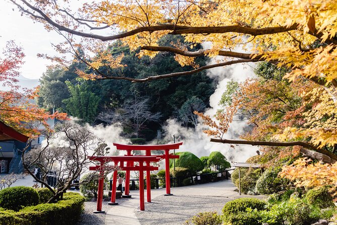 Beppu Private Customizable Full Day Tour - Tour Highlights and Customization